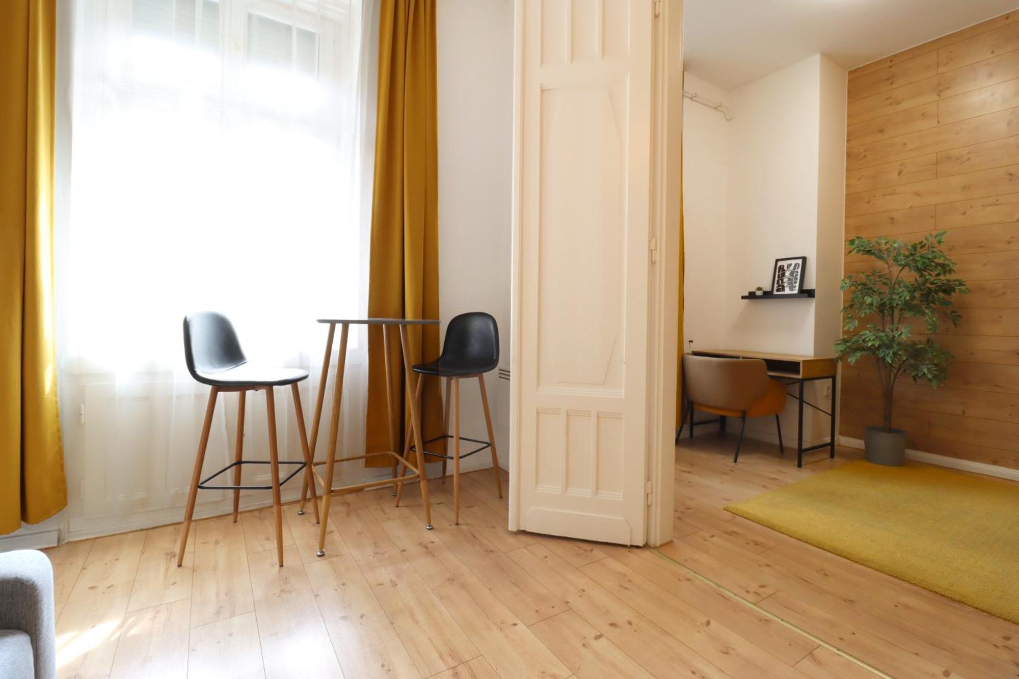 A13 Downtown With Parking Apartment Budapest