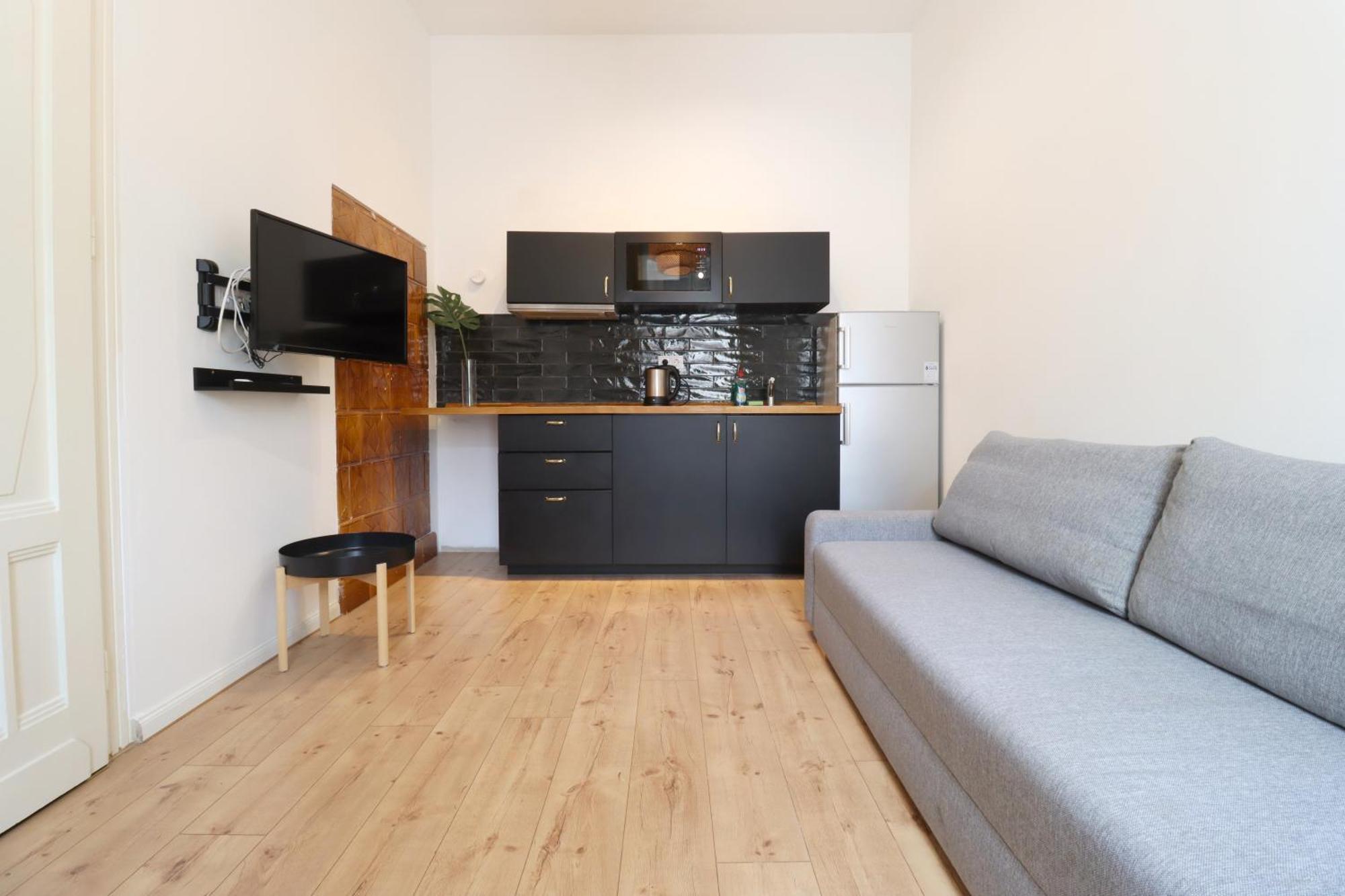 A13 Downtown With Parking Apartment